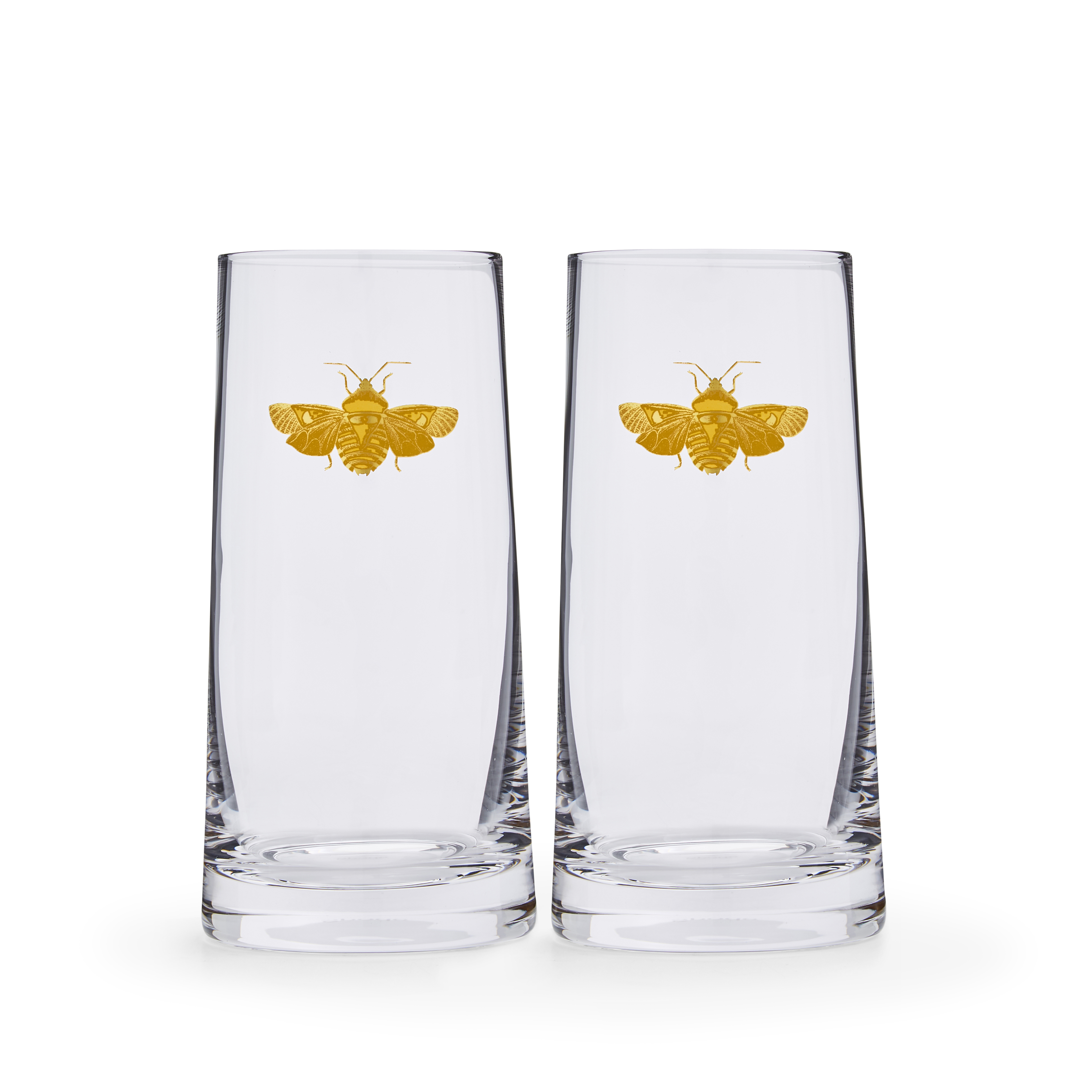 Creatures of Curiosity Highball Glass Set image number null